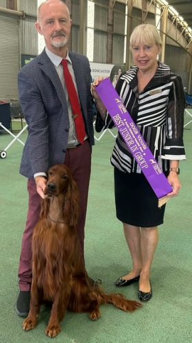 Pendoric Power O One “Jordi”